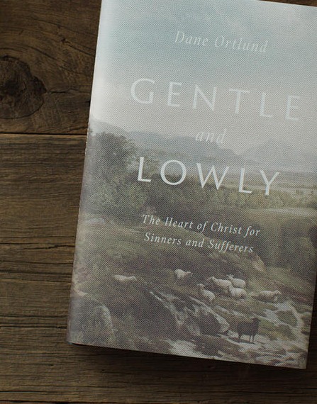 Gentle and Lowly book cover